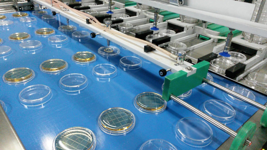 Petri dishes filling line